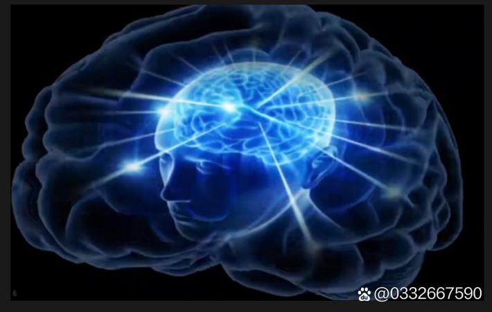 某对明星夫妻被曝已分居半年,各自精彩生活曝光令人唏嘘 某对明星夫妻被曝已分居半年,各自精彩生活曝光令人唏嘘